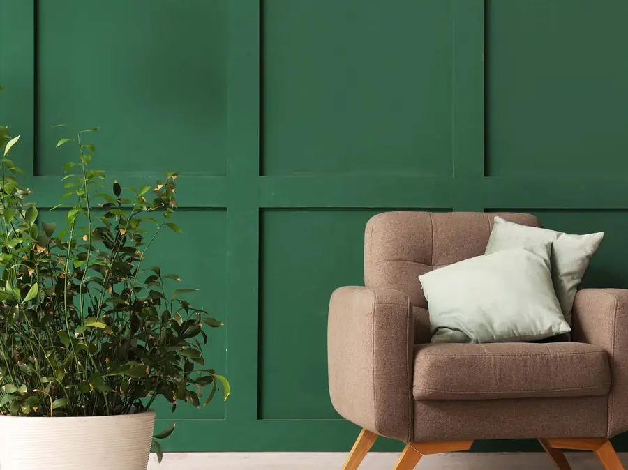 Freshly painted feature wall in deep green with wainscoting